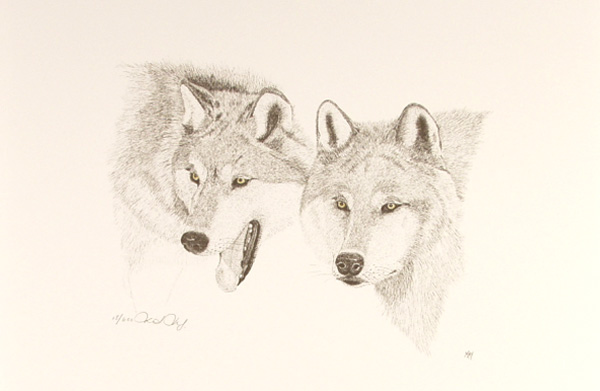 Timber Wolves II by Martin May