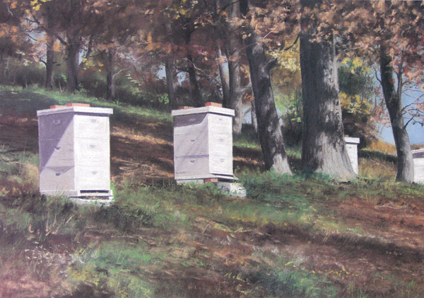 Autumn at the Beehives by Dennis Park