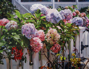 Fence with Sunlit Hydrangea by Heather Peacock