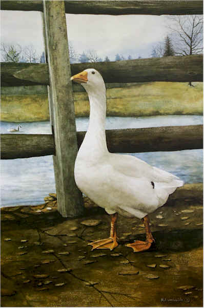 Portrait of a Goose by Nick Santoleri