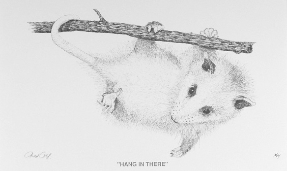 Hang in There by Martin May