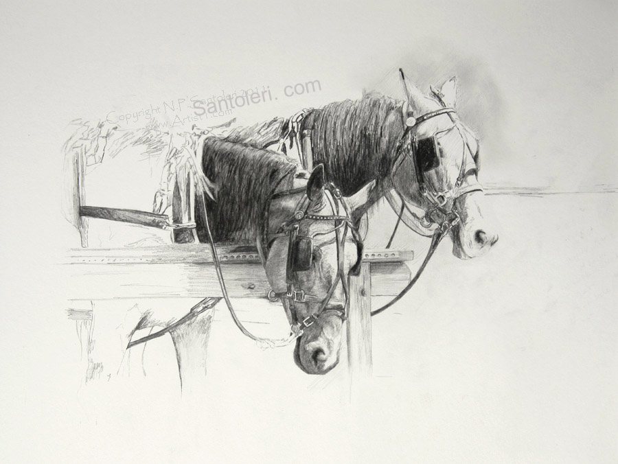 Amish Horses open edition Pencil Print by Santoleri